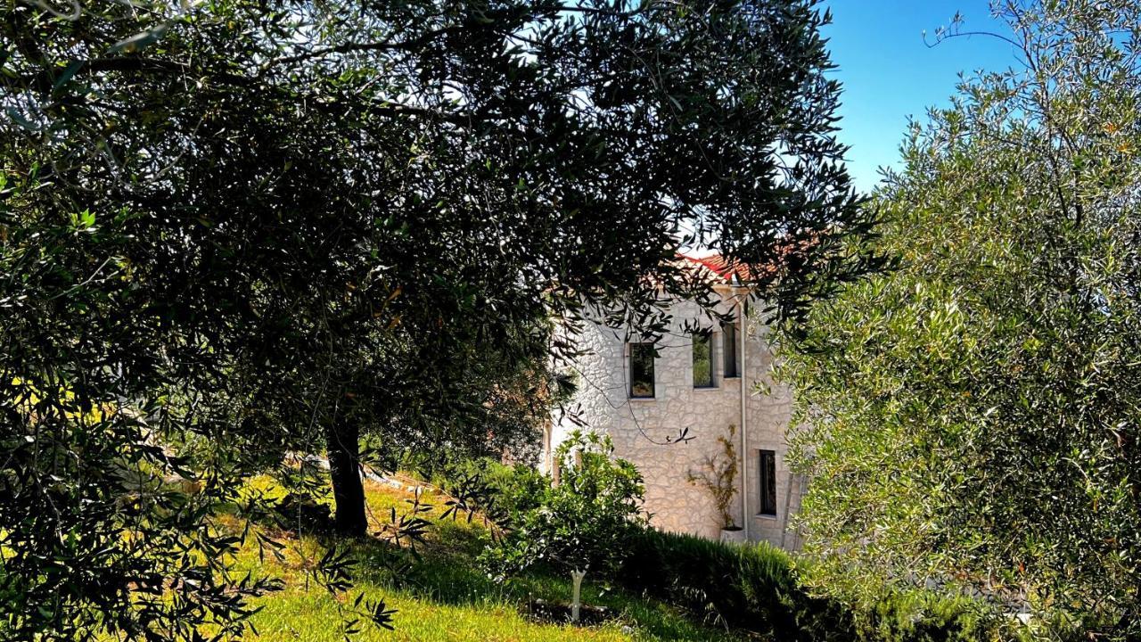 Sania * Kassiopi