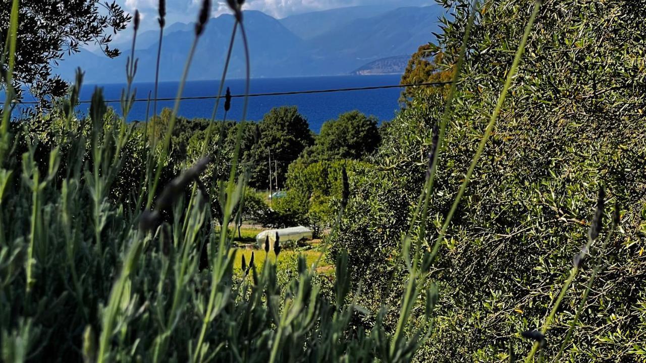 Villa Sania